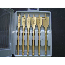 6PCS verzinntes flaches Bits-Set mit Kunststoffbox